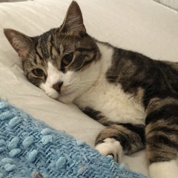 Meet your Posher, Victoria - Picture 1 of 1